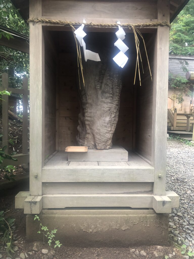 天神木の首っ玉